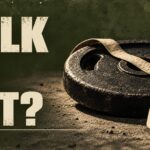 Bulk or cut? – Fit Dad Journal